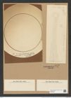 Coscinodiscus janischii var. arafurensis Grun (de-Toni-Nr.: Genus 202, Species 5021) Zeichnungen Sammlung Grunow Nr. 8742 (NHMW-BOT-W0378326)